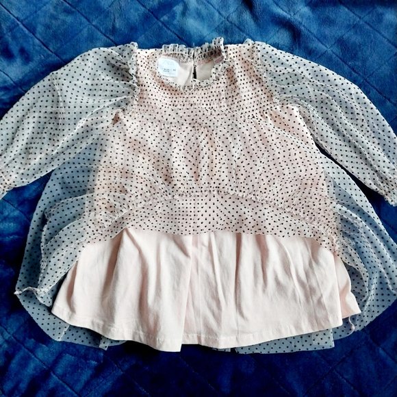 Zara Polka Dot Tulle Dress - Picture 3 of 6